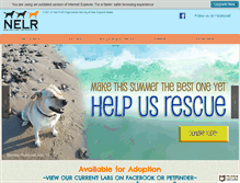 Tablet Screenshot of newenglandlabrescue.com